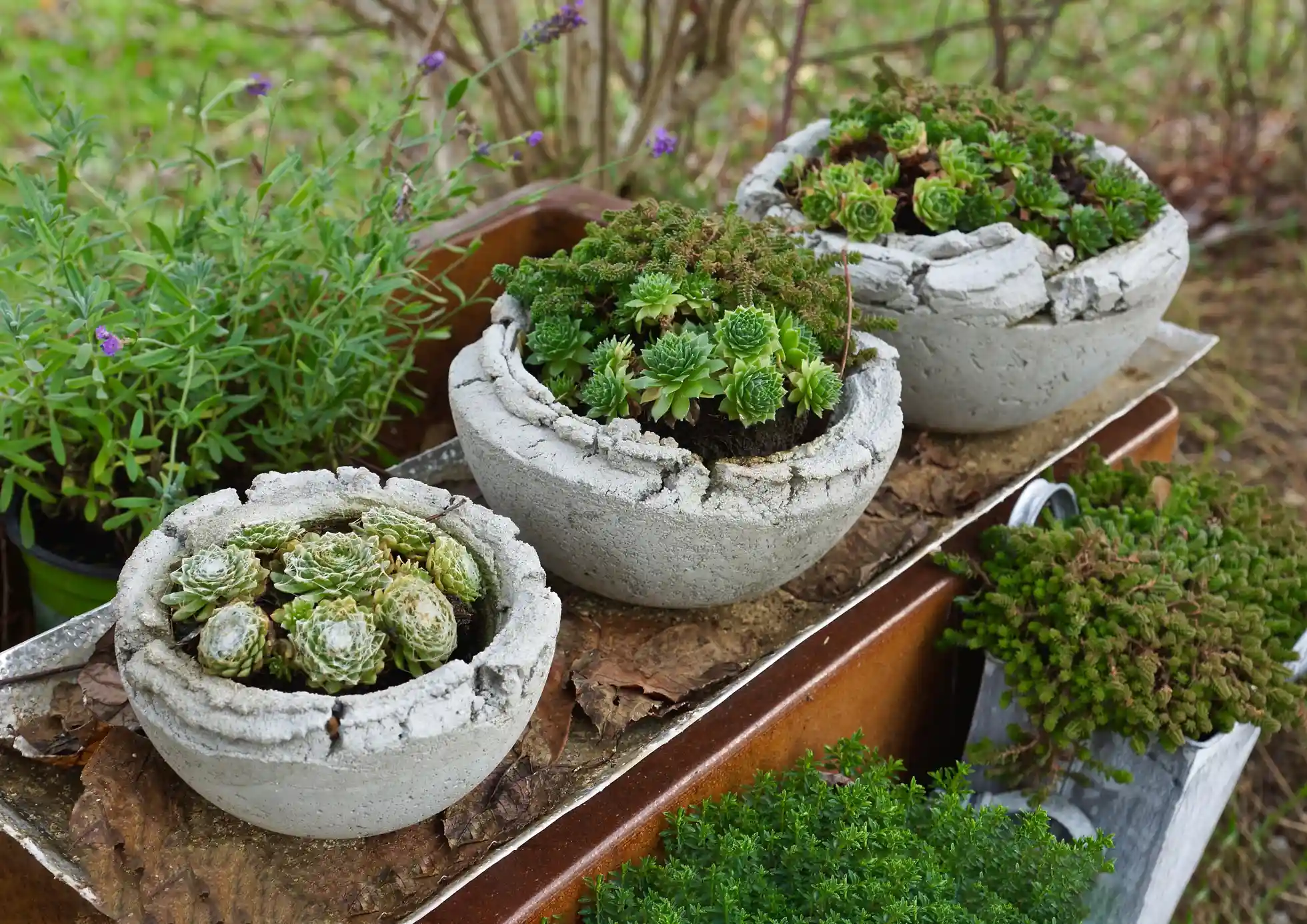 Töpfe und Tröge für Garten und Terrasse – Stilvolle Pflanzgefässe richtig einsetzen Töpfe und Tröge für Garten und Terrasse – Stilvolle Pflanzgefässe richtig einsetzen